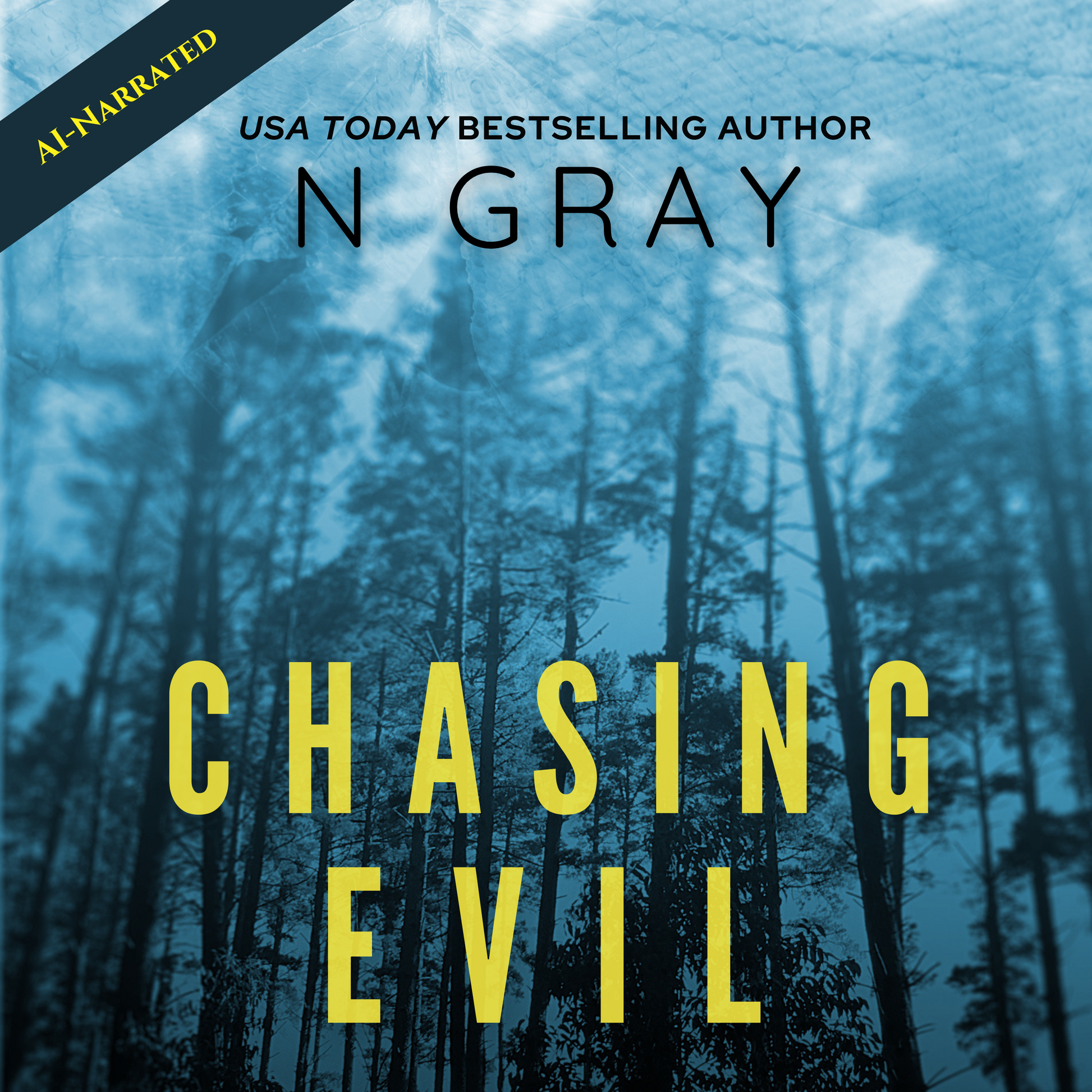 N Gray Chasing Evil Audiobook Thriller