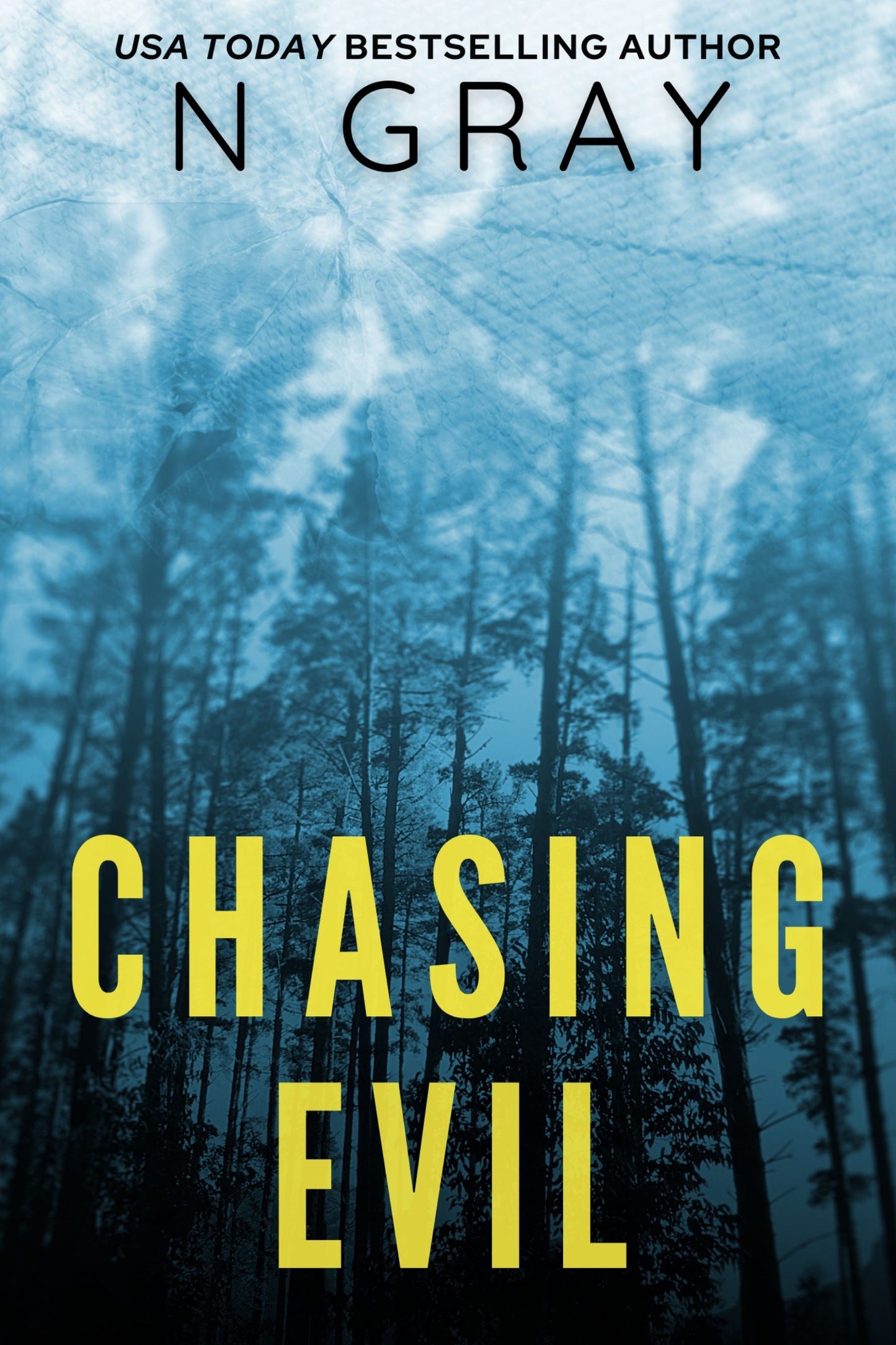 N Gray's Thriller Chasing Evil